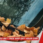 How Do You Get Tree Sap Off Your Car – Without Damage! How Do You Get Tree Sap Off Your Car