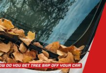 How Do You Get Tree Sap Off Your Car – Without Damage! How Do You Get Tree Sap Off Your Car